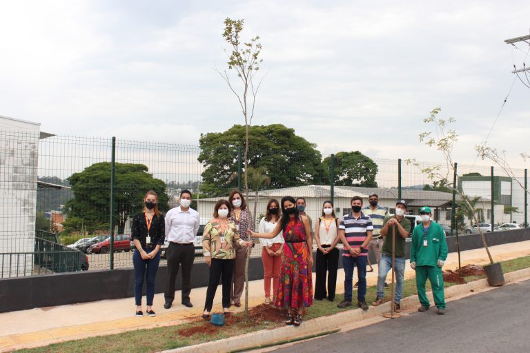 Te Connectivity Planta 50 árvores Em Bragança Paulista Em Comemoração